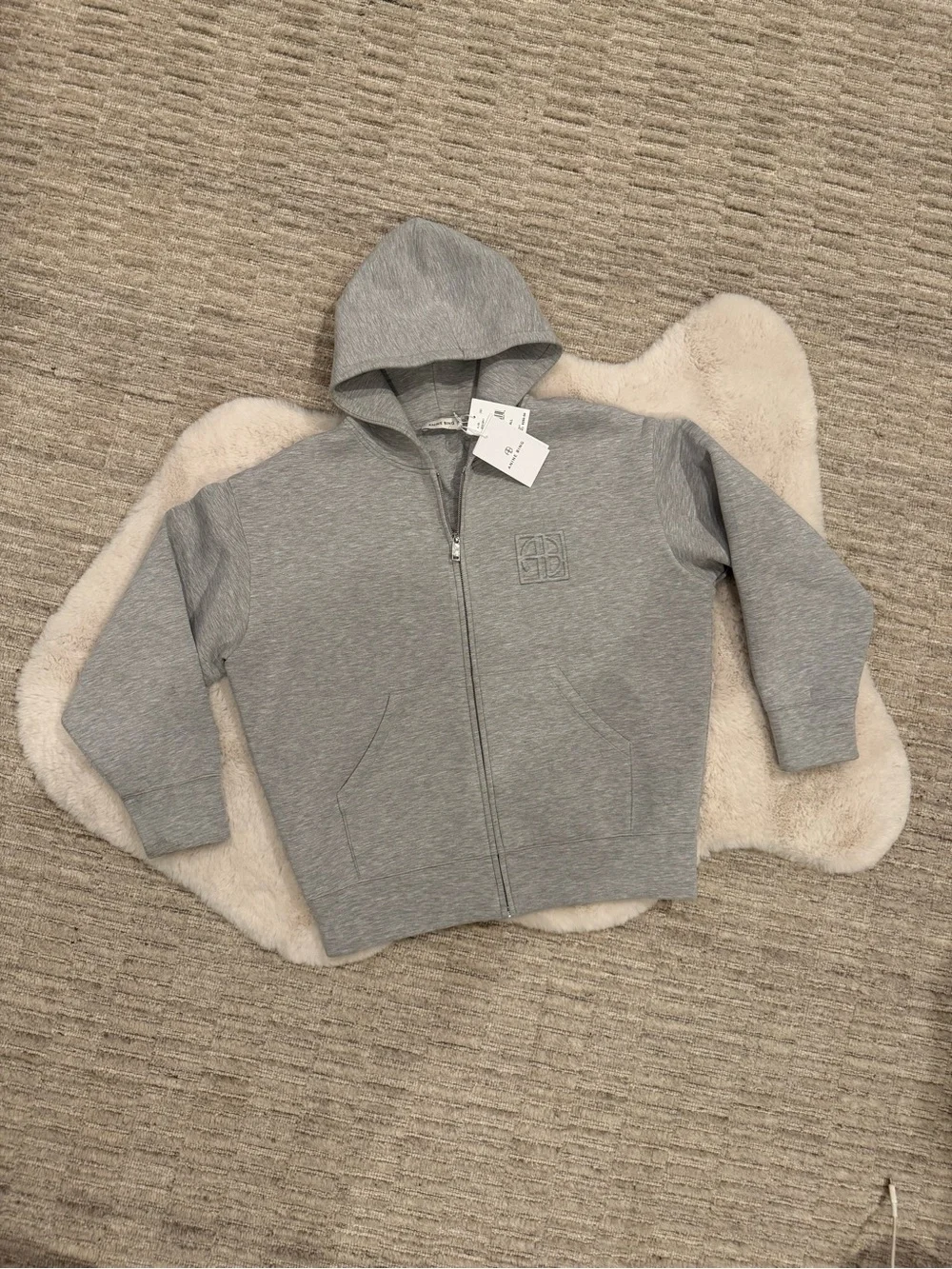 Anine Bing Grey Bond Zip Hoodie - Picture 8 of 15